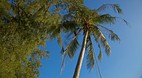 Koh Chang
