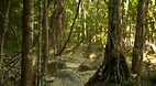 Koh Chang