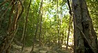 Koh Chang