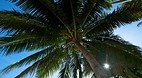 Koh Chang