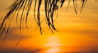Koh Chang