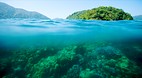 Koh Surin