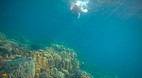 Koh Surin