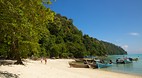 Koh Surin