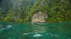 Phi Phi Island