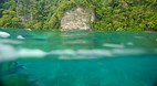 Phi Phi Island