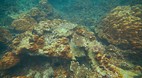 Phi Phi Island