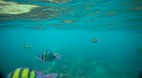 Phi Phi Island