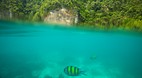 Phi Phi Island