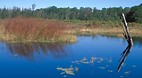 Altamaha River
