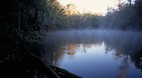 Altamaha River