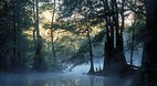 Altamaha River