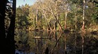 Altamaha River
