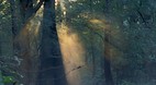 Altamaha River