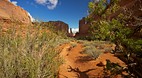 Arches National Park