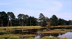 Augusta