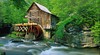 Babcock State Park