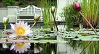 Birmingham Botanical..