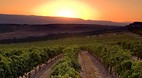 Southwestern Idaho