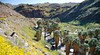 California