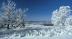 Canaan Valley