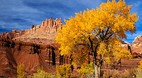 Capitol Reef Nationa..