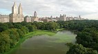 Central Park
