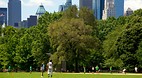 Central Park
