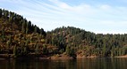 Coeur d