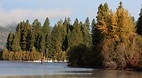 Coeur d