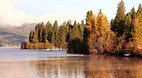 Coeur d