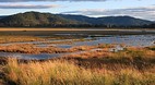 Coeur d