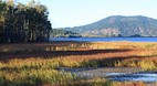 Coeur d