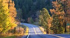 Coeur d
