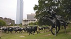 Dallas
