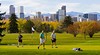 Denver Area