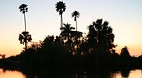 Everglades