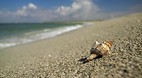 Florida