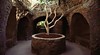 Forestiere Underground Gardens