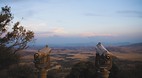 Fort Davis
