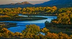 Fruita