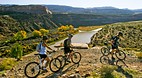 Fruita