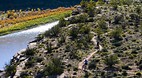 Fruita