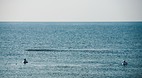 Galveston