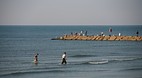 Galveston