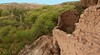 Gila Box Riparian National Conservation Area