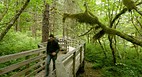 Alaska