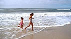 Gulf Shores-Orange B..