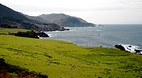Central Coast of Cal..