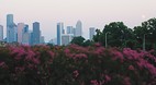 Houston